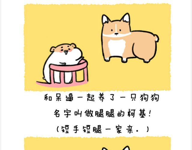 第22话 胡子的未来-第23话