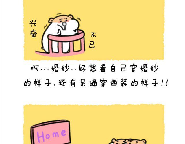 第22话 胡子的未来-第23话