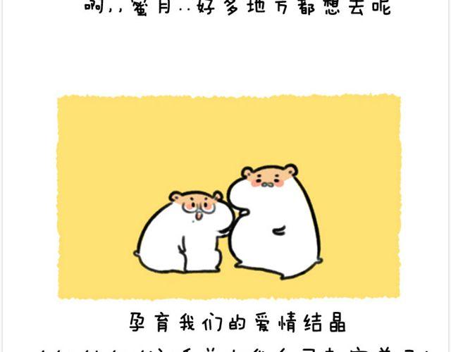 第22话 胡子的未来-第23话