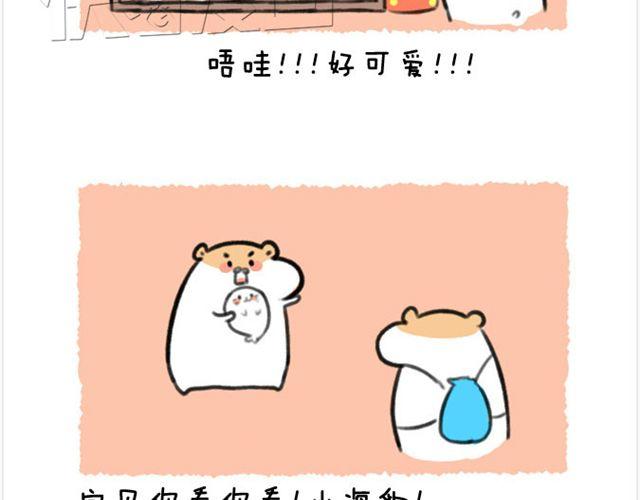 第24话 海洋公园-第25话