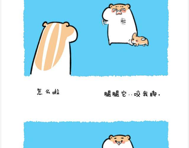 第26话 陆地鲨鱼-第27话