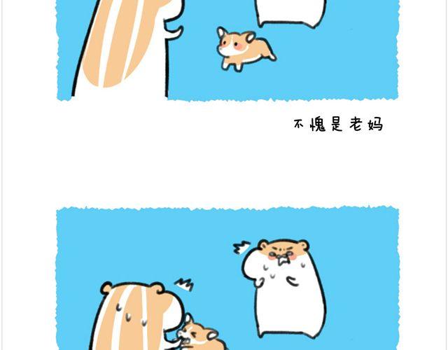 第26话 陆地鲨鱼-第27话