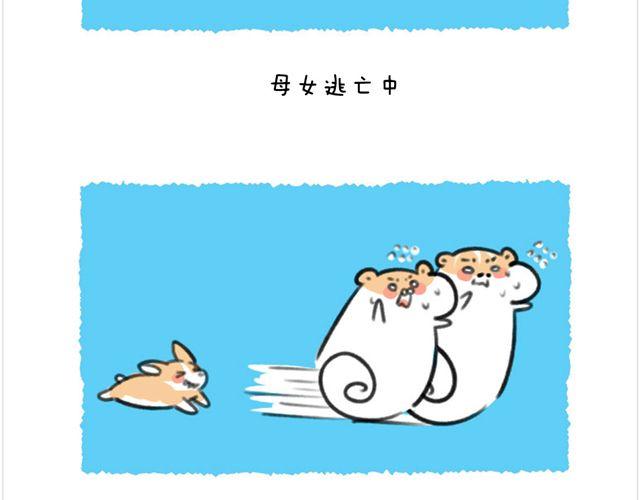 第26话 陆地鲨鱼-第27话