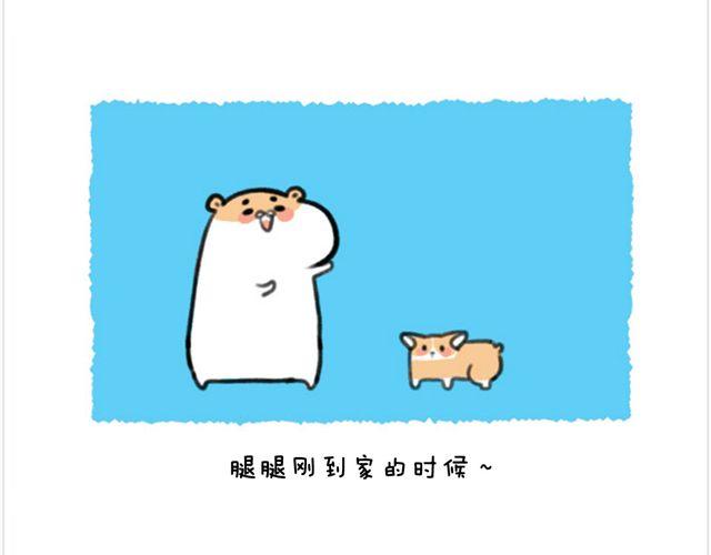 第26话 陆地鲨鱼-第27话