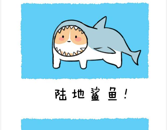 第26话 陆地鲨鱼-第27话