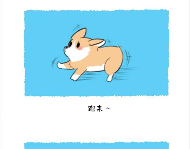 第26话 陆地鲨鱼-第27话