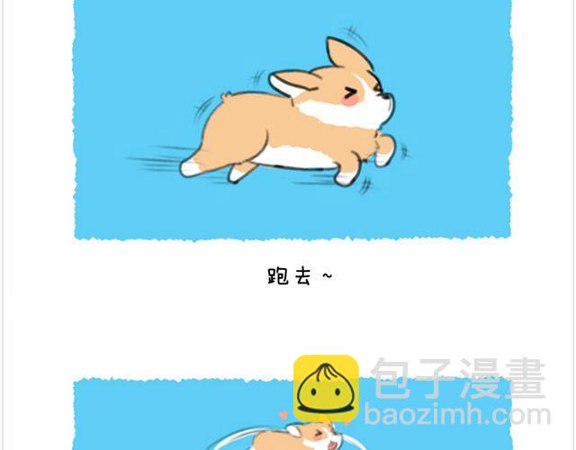 第26话 陆地鲨鱼-第27话