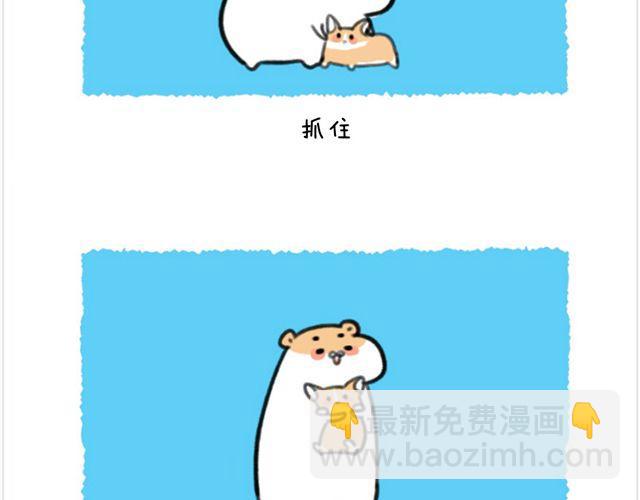 第26话 陆地鲨鱼-第27话