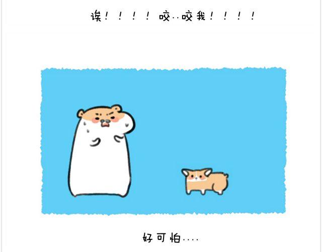 第26话 陆地鲨鱼-第27话