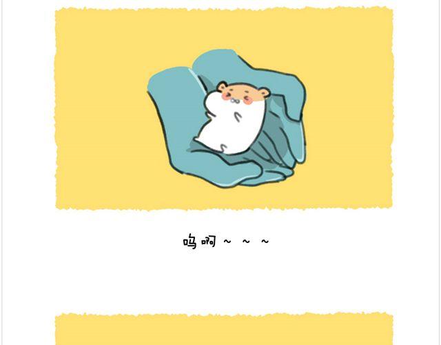 最终话 生日蛋糕-第29话