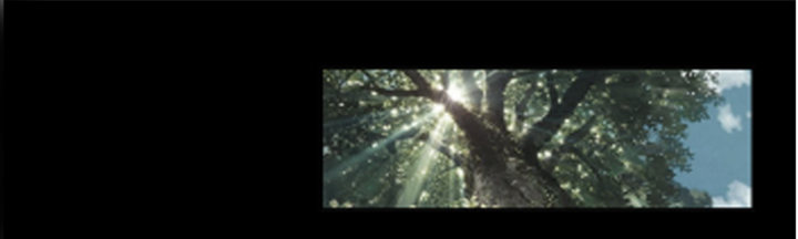 58话 墓中沉睡两千年(1/2)-第59话