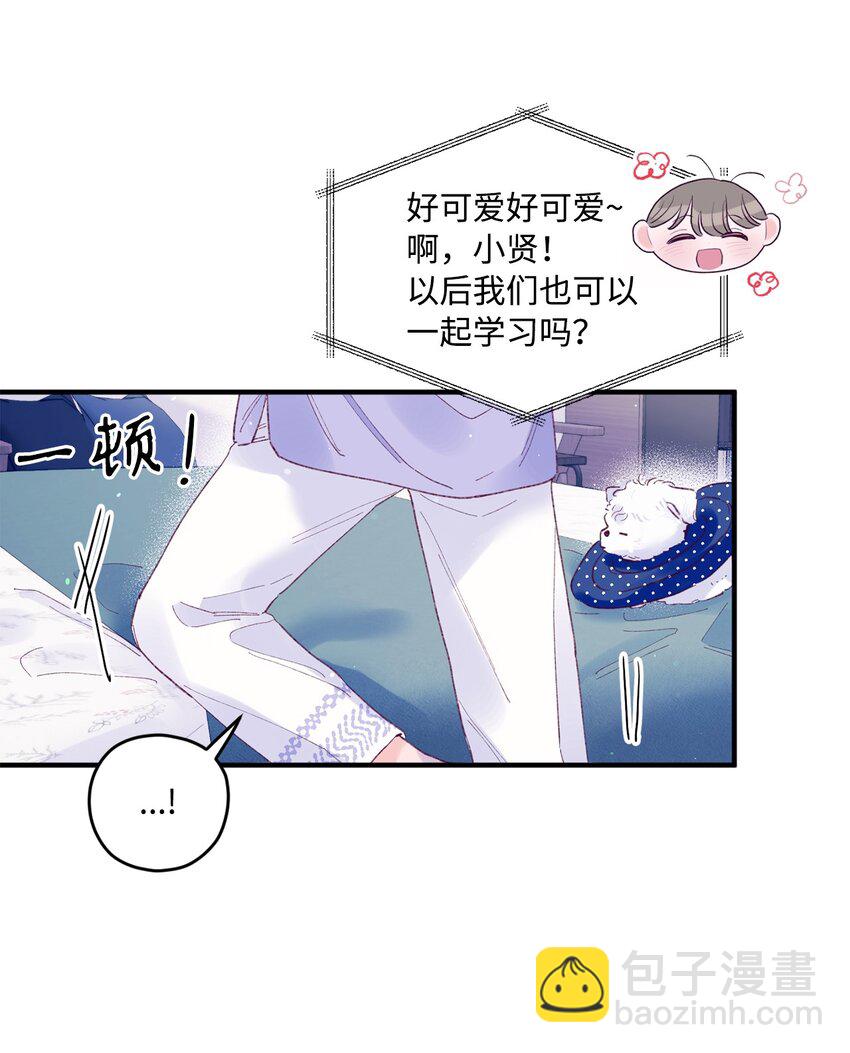 19 是喜欢吗？(1/2)-第19话