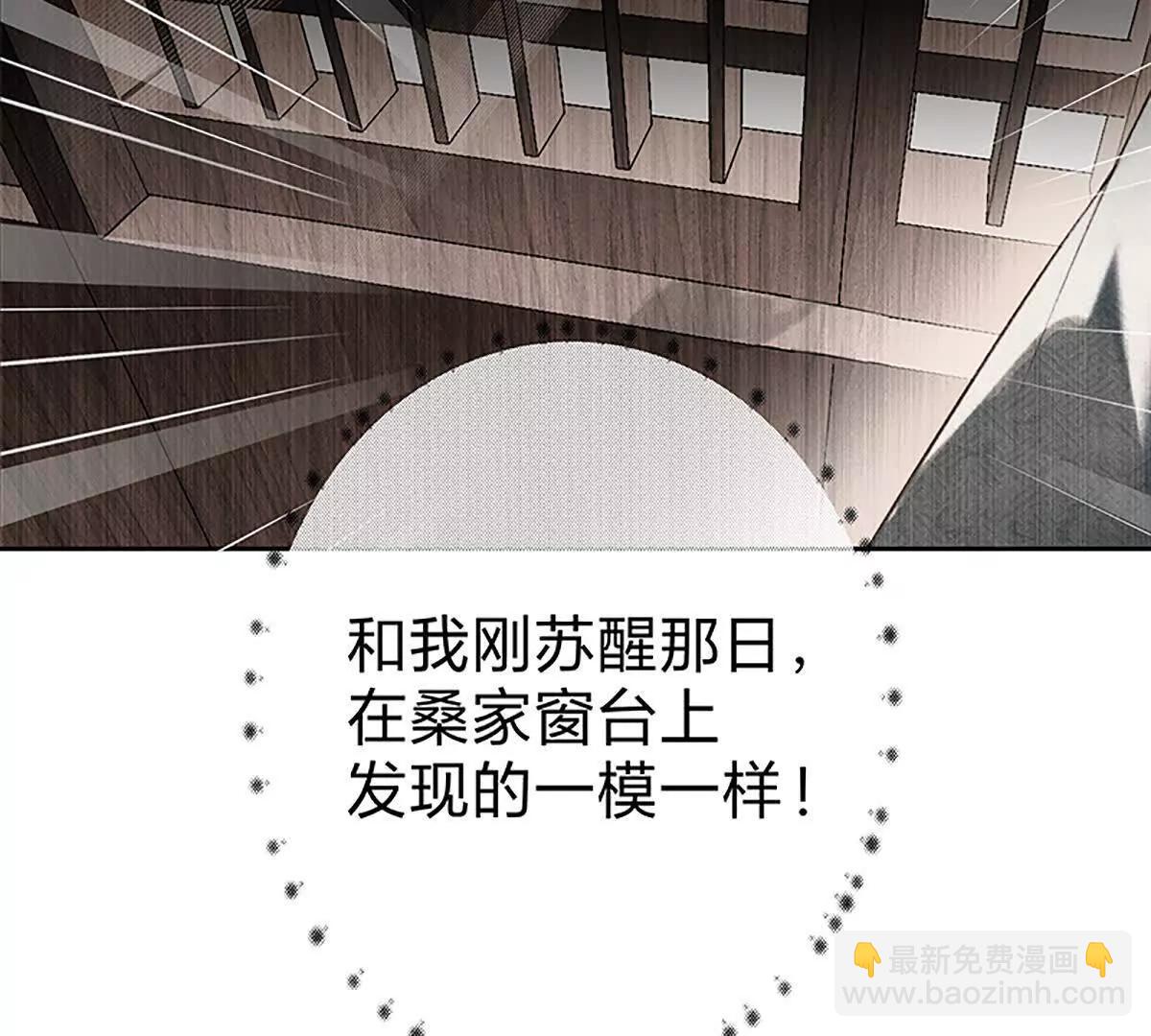 活人还是死人(1/2)-第17话