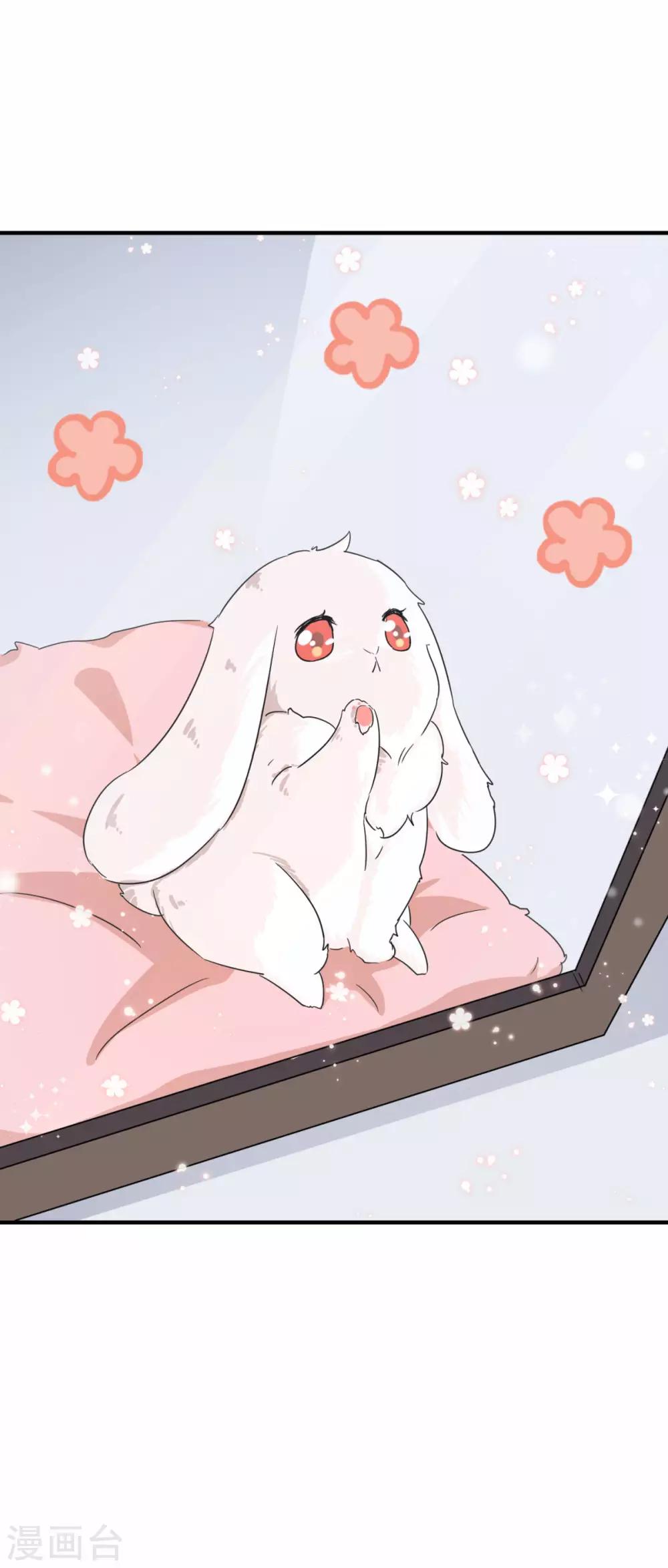 第18话 给柳南风买的礼物-第21话