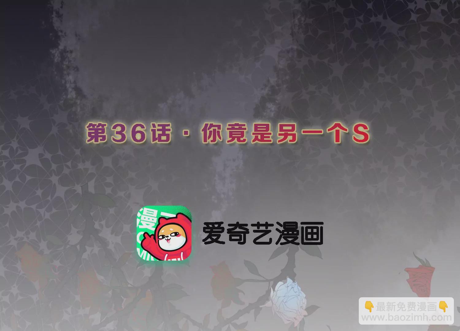 第36话 你竟是另一个S(1/2)-第37话