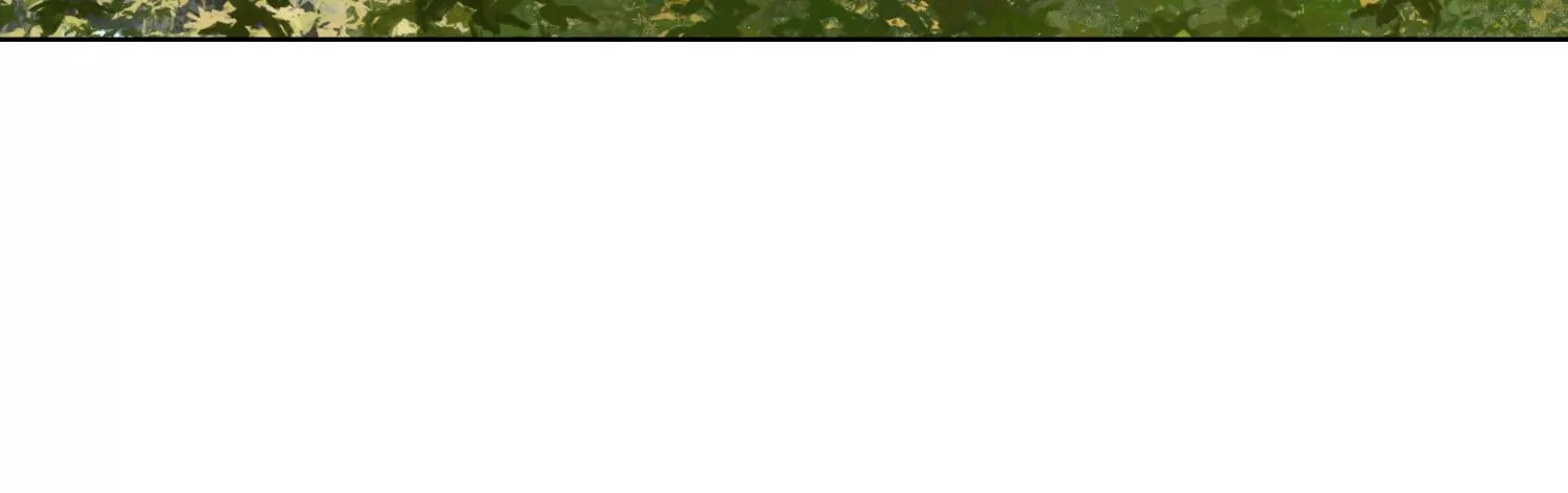 第56话 时隔多年的寻宝(1/2)-第57话