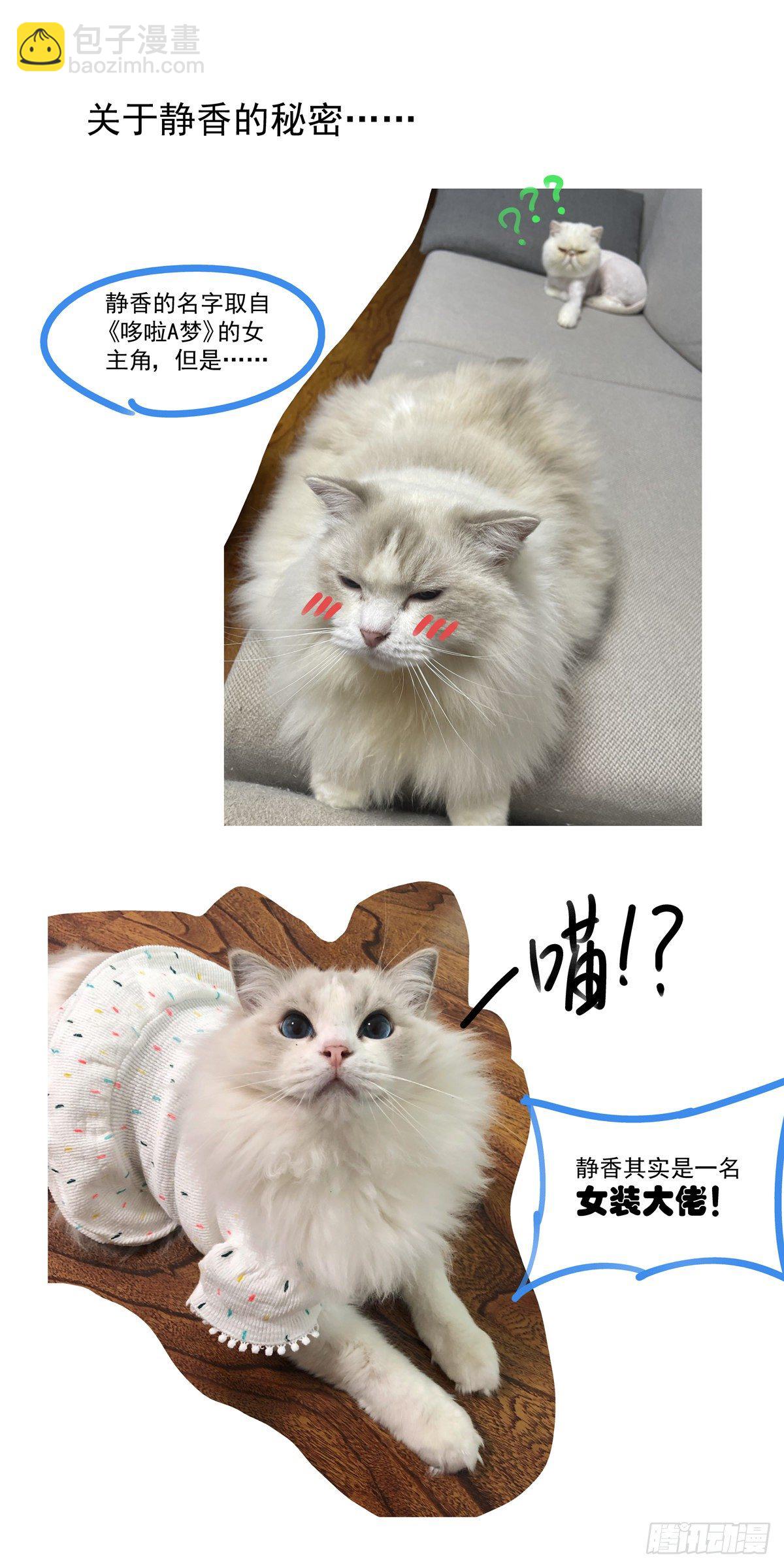 009一败已百年-第11话