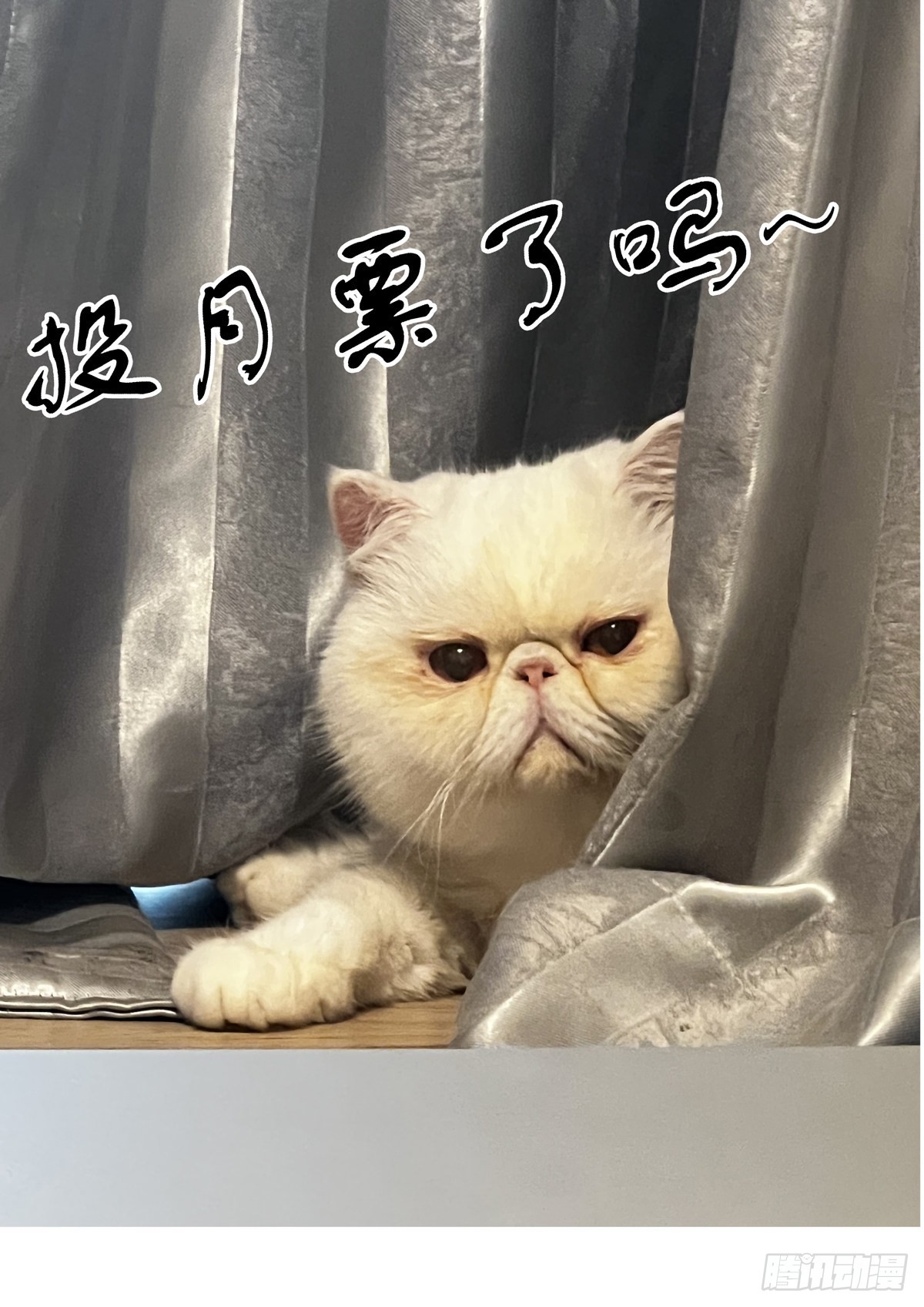 074追兵将至-第75话