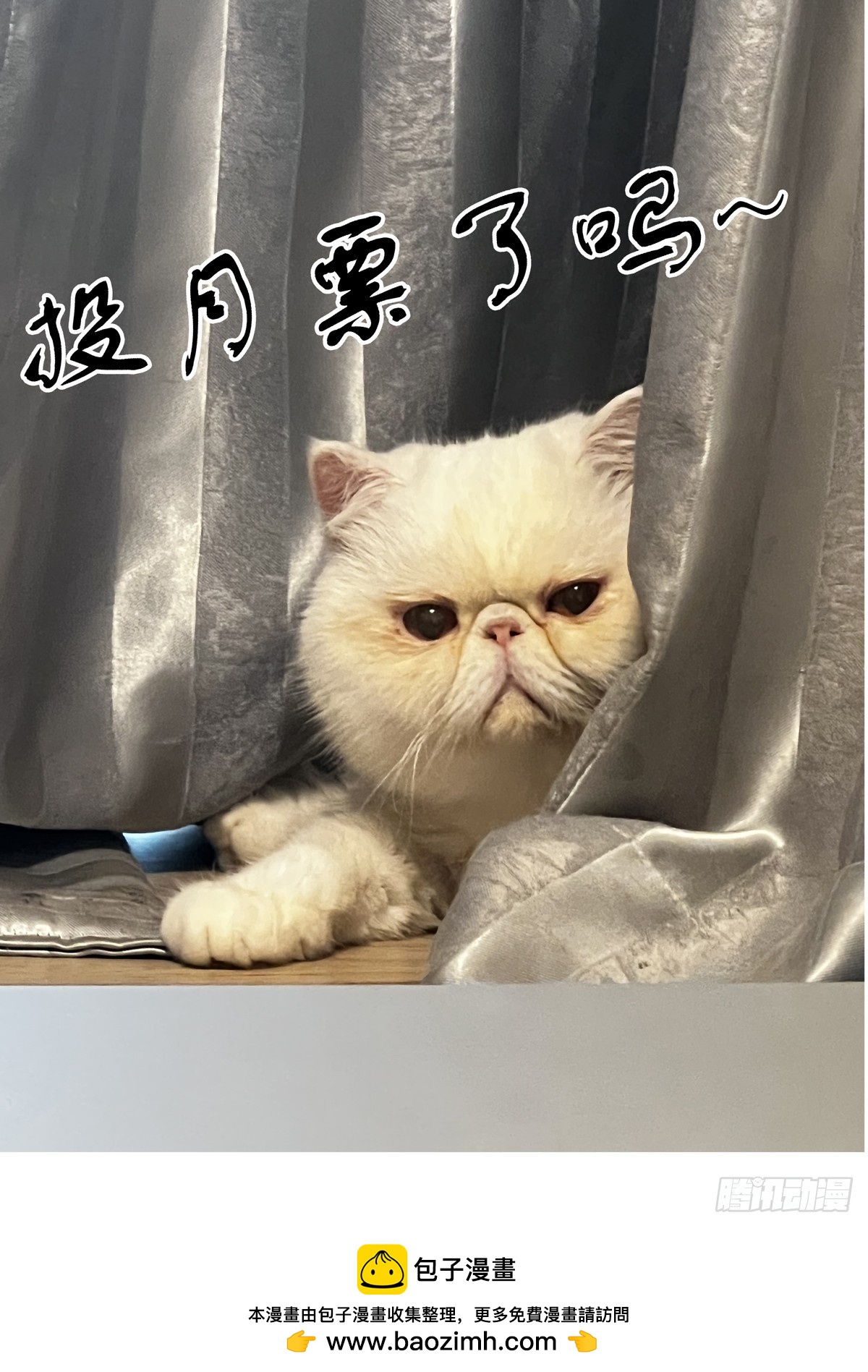 094临终关怀-第95话