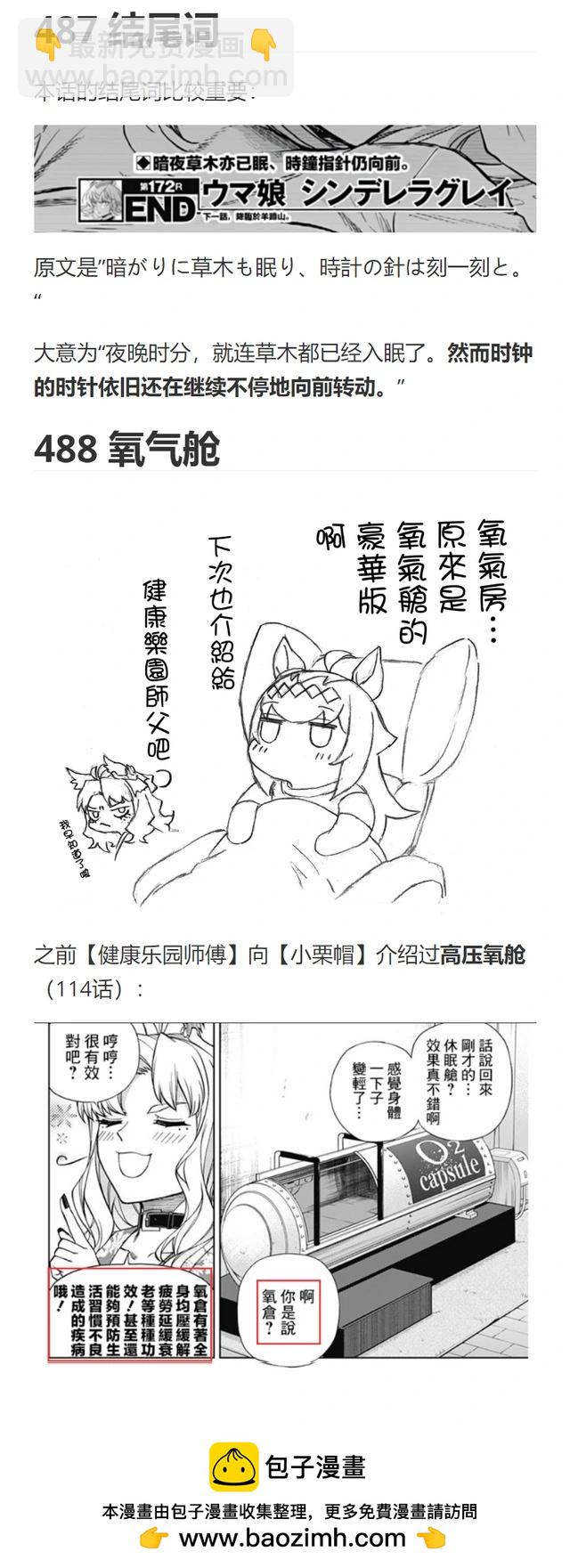 賽馬娘：蘆毛灰姑娘 - 第172話 - 3