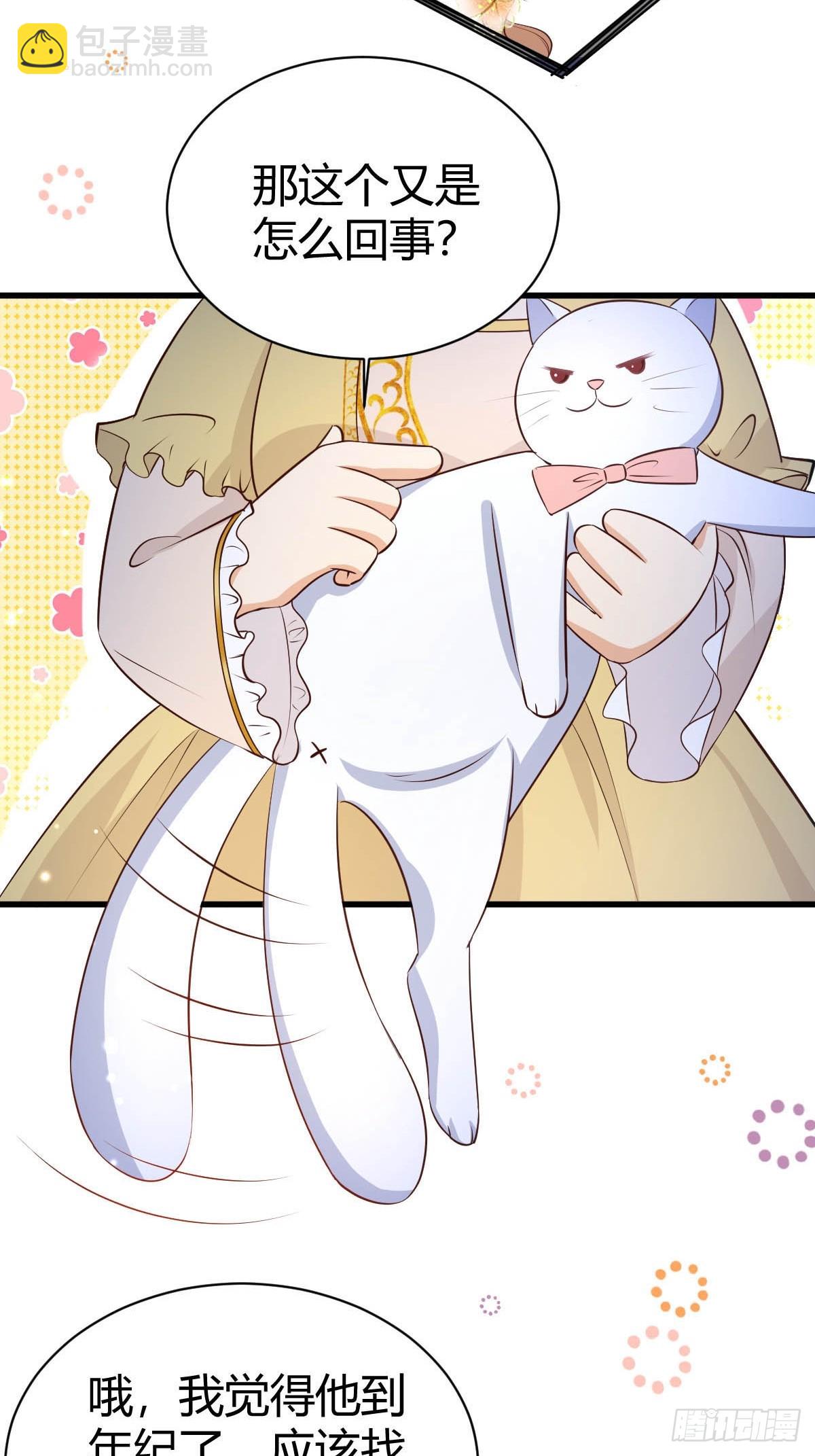 77 猫猫立大功-第79话