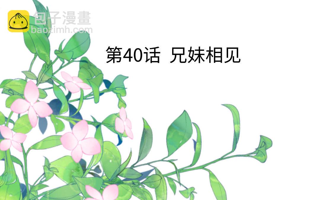 第40话 兄妹相见(1/3)-第41话