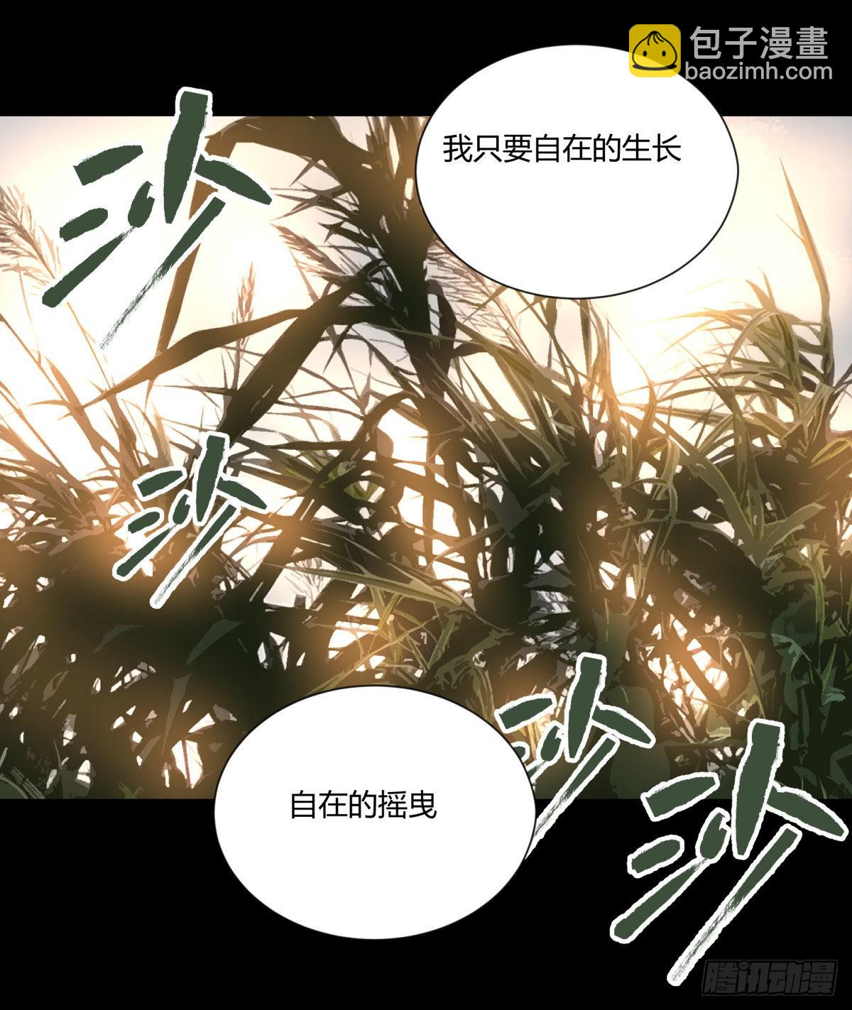 22芦苇(1/2)-第23话