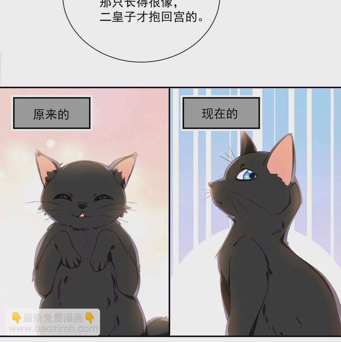 第10话 逗猫棒(1/2)-第11话