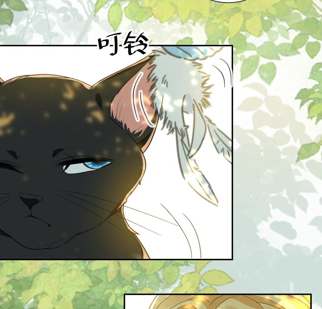 第10话 逗猫棒(1/2)-第11话