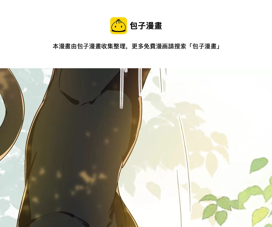 第10话 逗猫棒(1/2)-第11话