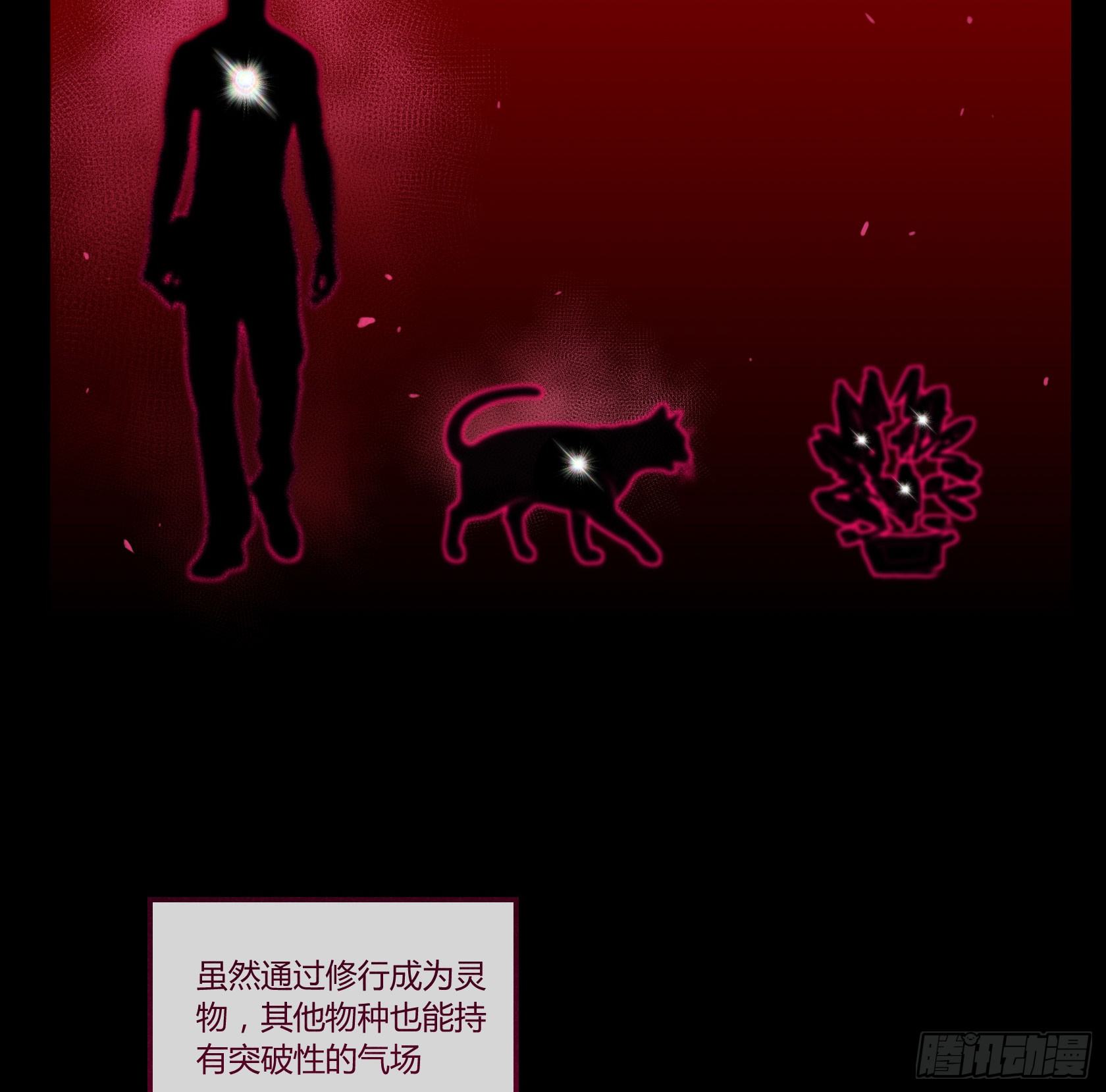 神仙＞人＞妖怪(1/2)-第27话