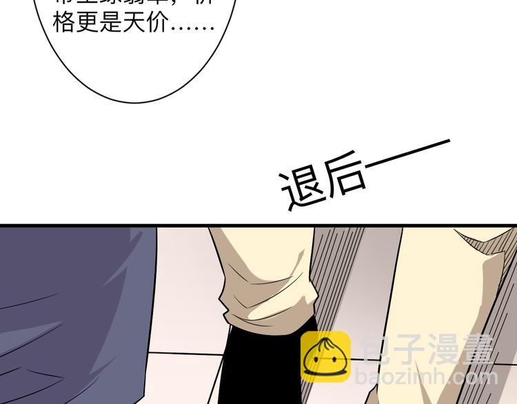 三界淘寶店 - 第231話 極品翡翠(1/3) - 7