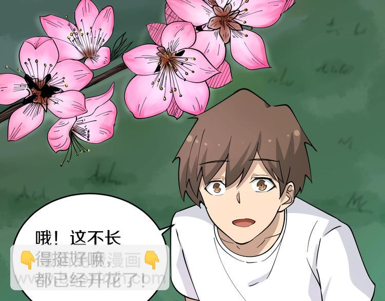 三界淘寶店 - 第53話 滿園桃色關不住(2/3) - 5