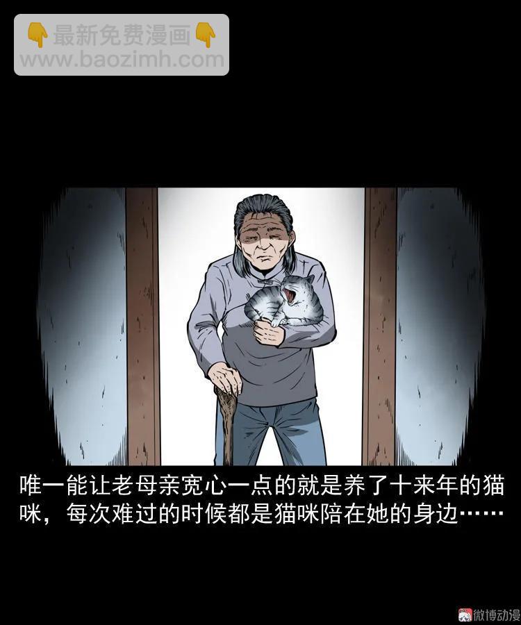 猫老太事件(1/3)-第141话