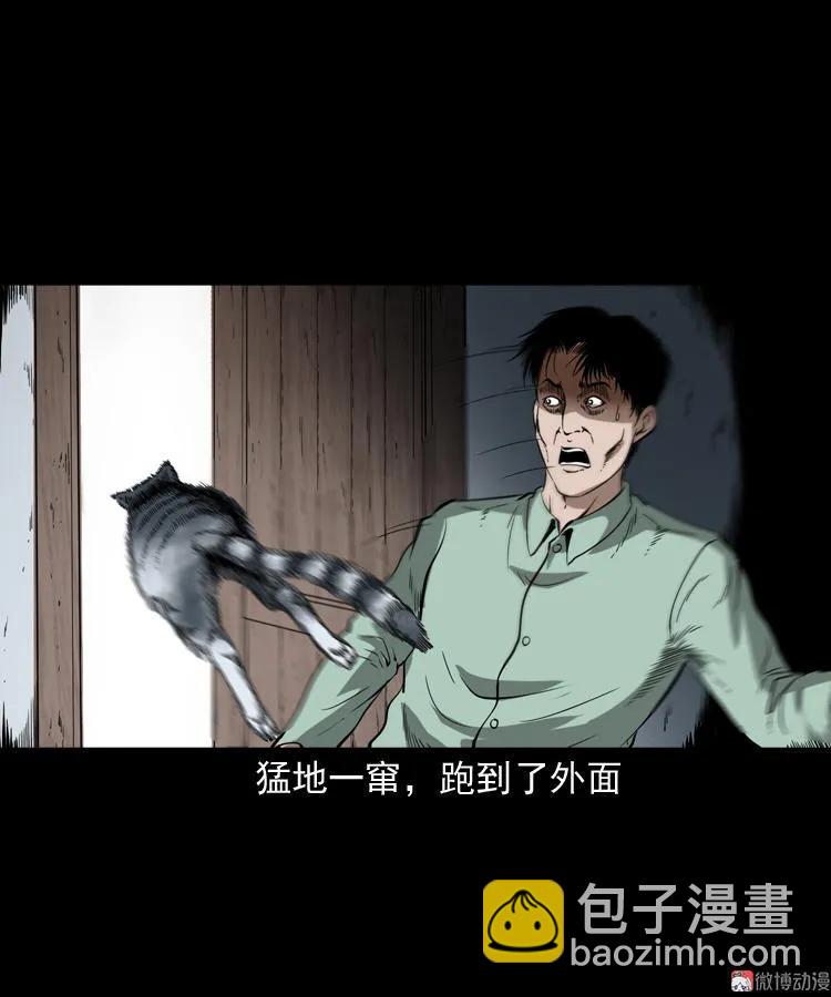 猫老太事件(1/3)-第141话