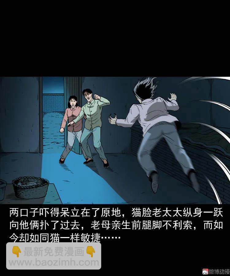 猫老太事件(1/3)-第141话