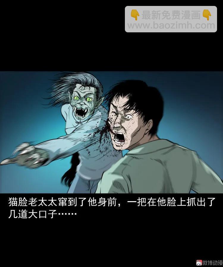 猫老太事件(1/3)-第141话