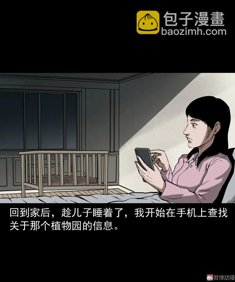 我儿子的故事(1/2)-第165话