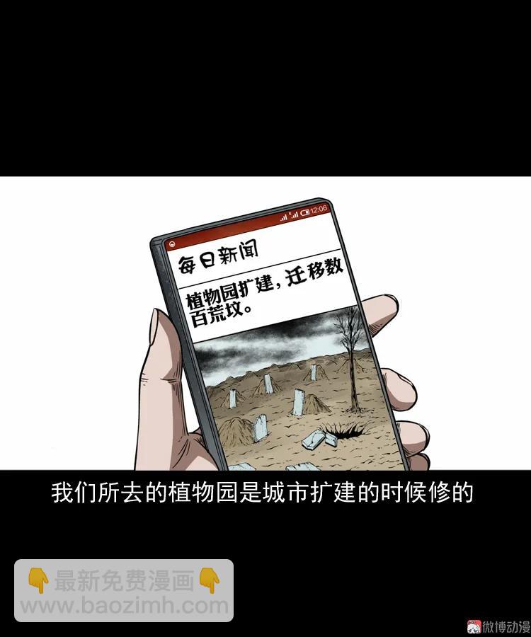 我儿子的故事(1/2)-第165话