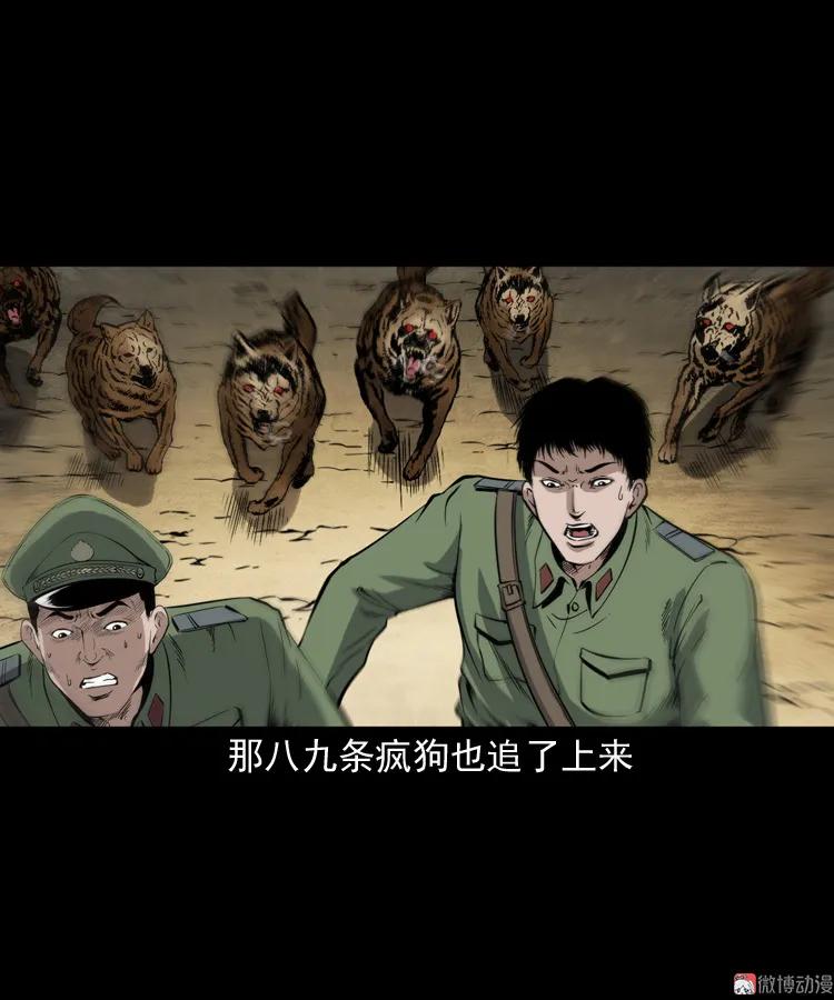 僵尸事件（二）(1/3)-第195话