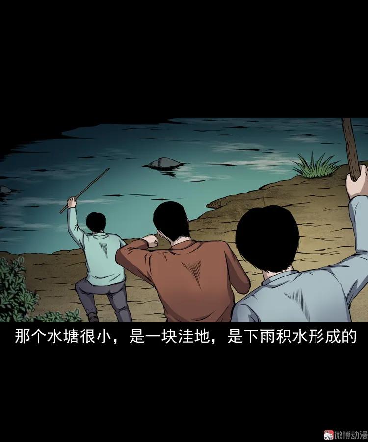 水塘惊魂(1/2)-第207话