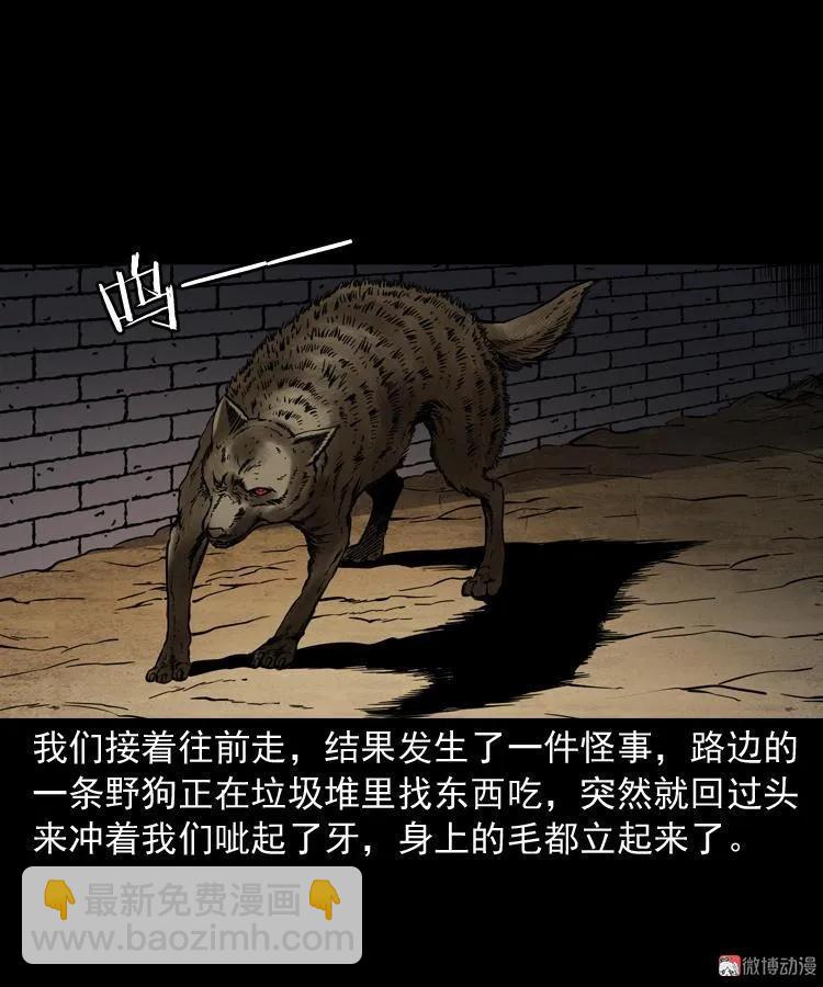 水塘惊魂(1/2)-第207话