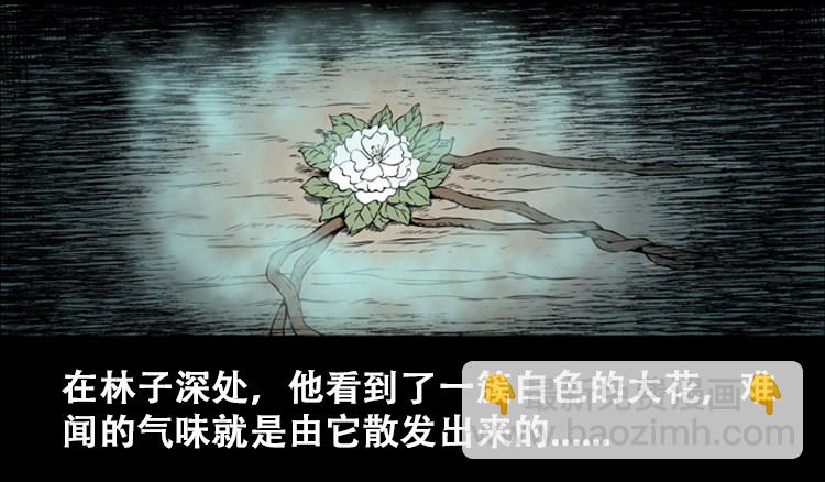 北瓜（上）(1/2)-第23话