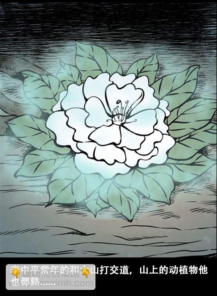 北瓜（上）(1/2)-第23话