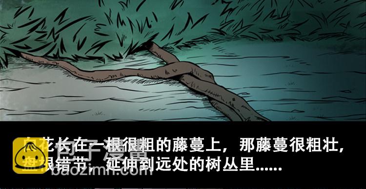 北瓜（上）(1/2)-第23话