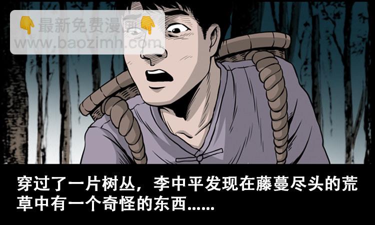 北瓜（上）(1/2)-第23话