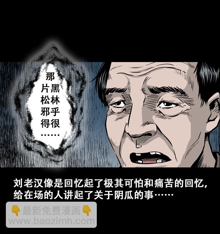 北瓜（上）(1/2)-第23话