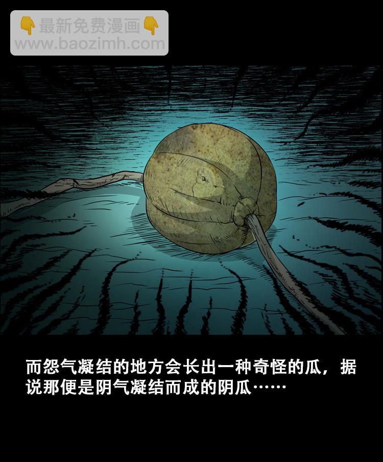 北瓜（上）(1/2)-第23话