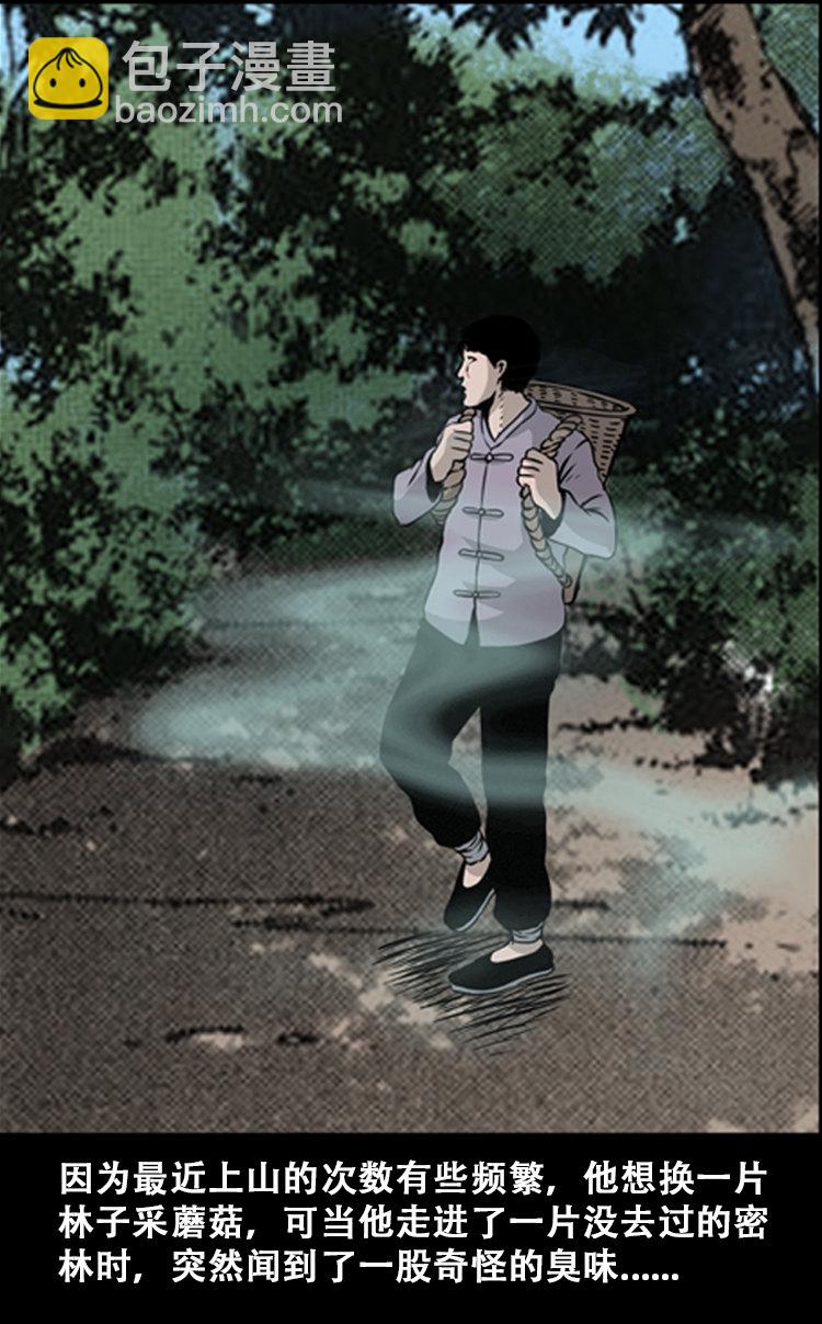 北瓜（上）(1/2)-第23话