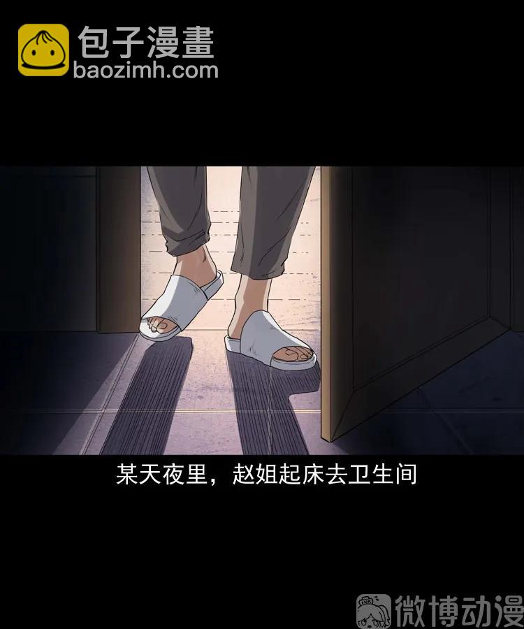 白头翁之养小鬼(1/2)-第229话